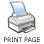 Print this page