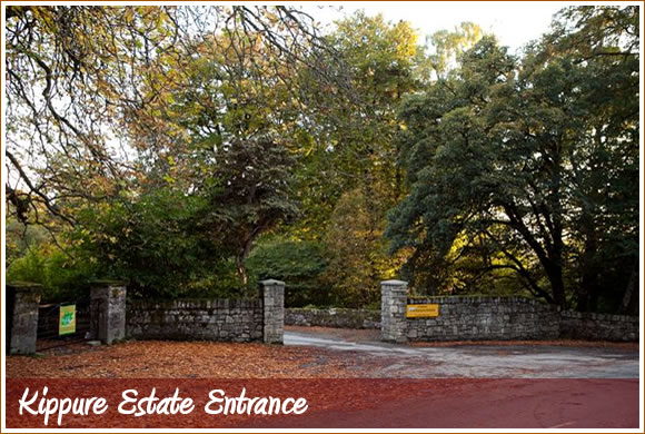 Kippure Estate Entrance