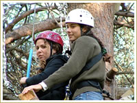 corporate teambuilding days