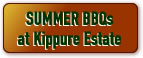 Summer Barbecues in Wicklow at Kippure Estate