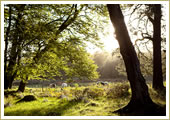 Kippure Estate - Wicklow Wedding Venue
