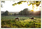 Kippure Estate - Wicklow Wedding Venue