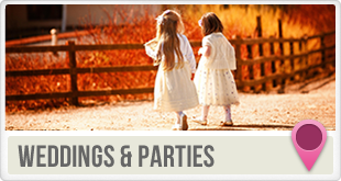 Weddings venues in Wicklow