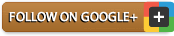 Google+
